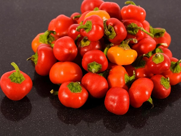 November 2023 Sees South Africa's Pimenta Pepper Import Surge to $1.9M